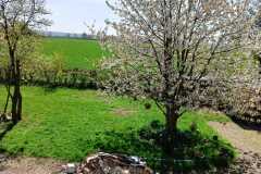 WhatsApp-Image-2025-04-12-at-19.14.08_ae563f63