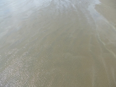 P1020128 P1020128