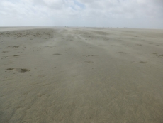 P1020134 P1020134