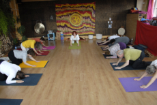 yoga senior 13 yoga senior 13