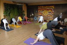 yoga senior 14 yoga senior 14