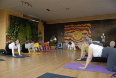 yoga senior 19 yoga senior 19