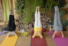 yoga senior 22 yoga senior 22