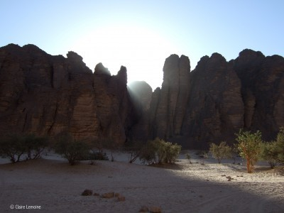 marche-silencieuse-desert
