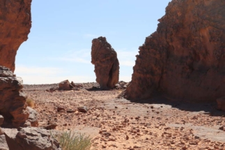 600 millions d'années 600 millions d'années