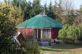 L'art du lien avec Cécile Watel