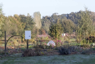 L'art du lien avec Cécile Watel