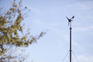 Stage Permaculture Humaine avec Cécile Watel et Mathilde Lepeu
