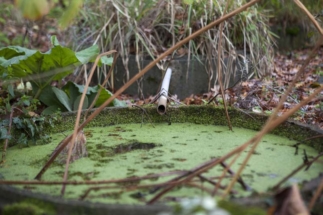 Stage CNV avec Cécile Watel - Module N°2
