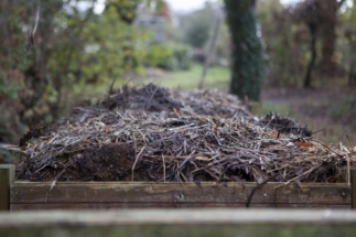 Stage CNV avec Cécile Watel - Module N°2